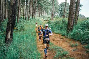 BIB: 
                            <button type="button" onclick="openModal(25657862)" class="btn btn-primary btn-sm float-right btn-popup" data-toggle="modal" data-target=".modal-high-quality">
                        <i class="fas fa-shopping-cart"></i> Add to Cart
                    </button>
                                            <button type="button" onclick="isThisMe(25657862, true)" class="btn btn-success btn-sm float-right btn-popup btn-isme hidden" data-toggle="tooltip" data-placement="bottom" title="นี่คือรูปของคุณใช่ไหม คลิกที่นี่เพื่อเอาเข้าอัลบั้ม">
                        <i class="fas fa-plus"></i> Add to album
                    </button>
                    <button type="button" onclick="isThisMe(25657862, false)" class="btn btn-warning btn-sm float-right btn-popup btn-isnotme hidden">
                        <i class="fas fa-ban"></i> Remove from album
                    </button>